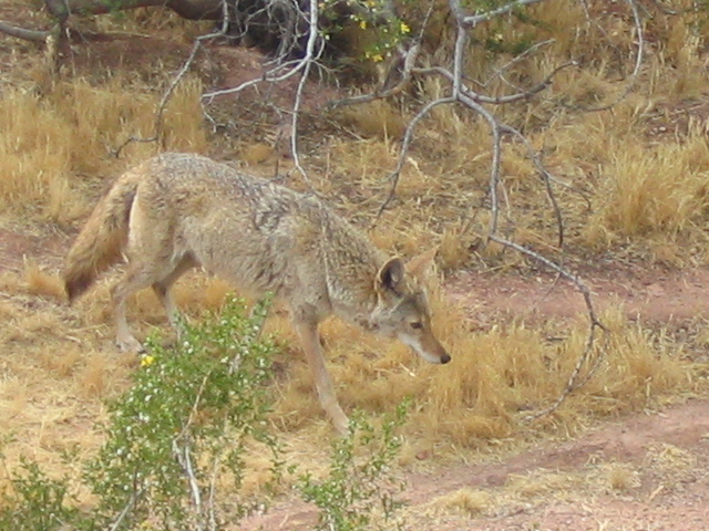 618x457 pixels (219K)